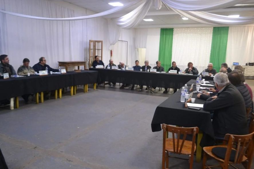 Contra los manuales de Javier Milei: El campo pide inversión al Estado para reactivar el tren a Quequén Contra los manuales de Javier Milei: El campo pide inversión al Estado para reactivar el tren a Quequén