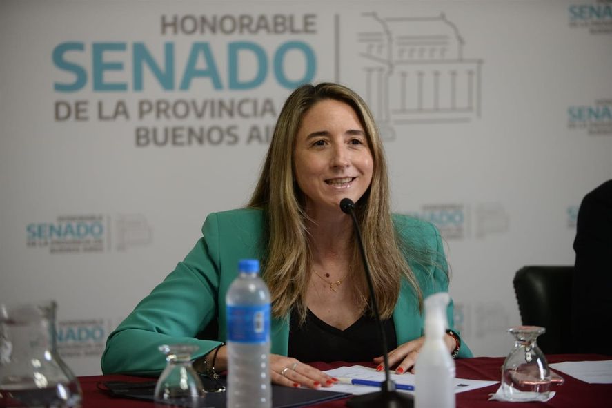 Flavia Delmonte, senadora bonaerense de la UCR Flavia Delmonte, senadora bonaerense de la UCR