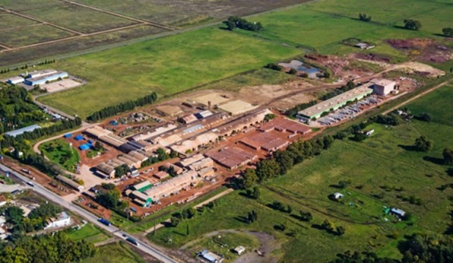 El efecto Milei golpea a Olavarría: Fábrica de cerámicos frenó su producción y despide a 45 contratados
