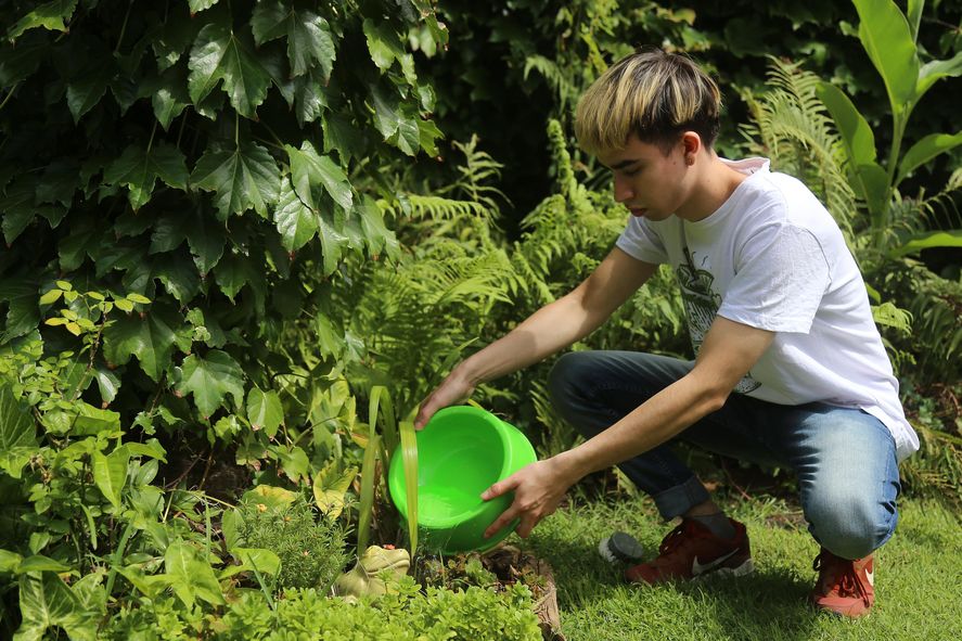 El municipio pidió acentuar el descacharreo domiciliario y eliminar depósitos de agua de lluvia acumulada en pos de prevenir la reproducción del dengue. El municipio pidió acentuar el descacharreo domiciliario y eliminar depósitos de agua de lluvia acumulada en pos de prevenir la reproducción del dengue.