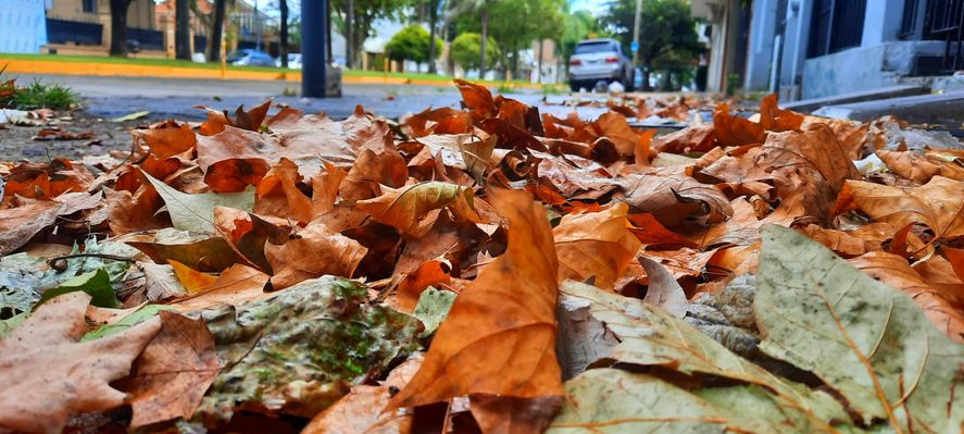 Este miércoles 20 de marzo, a las 00:06 horas, comenzó el otoño 2024.  Este miércoles 20 de marzo, a las 00:06 horas, comenzó el otoño 2024.