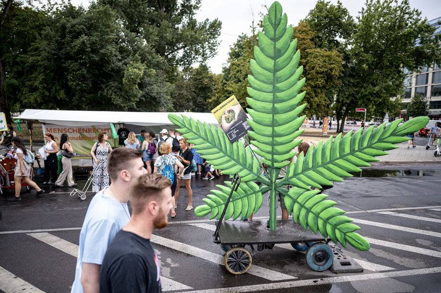 En Alemania, los activistas defensores de la marihuana, festejan su legalización a través de una ley del parlamento este viernes En Alemania, los activistas defensores de la marihuana, festejan su legalización a través de una ley del parlamento este viernes