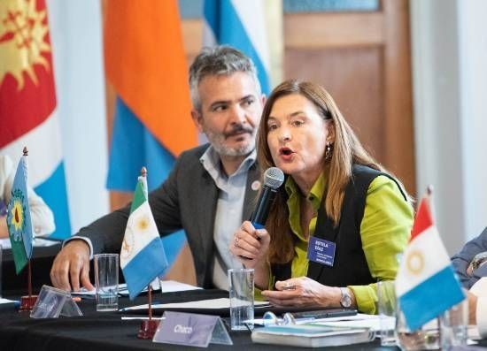 La ministra de las Mujeres y Diversidad bonaerense, Estela Díaz, en el consejo federal de las mujeres. La ministra de las Mujeres y Diversidad bonaerense, Estela Díaz, en el consejo federal de las mujeres.
