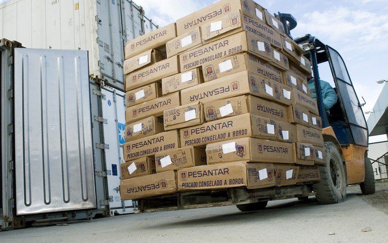 “las exportaciones comparadas con el mismo período de 2019”, informó el titular del SENASA.