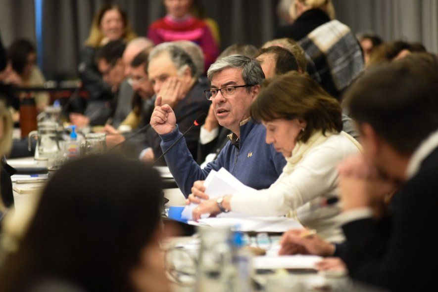 Unión por la Patria firmó un dictamen de mayoría para restituir el FONID que interrumpió Javier Milei.