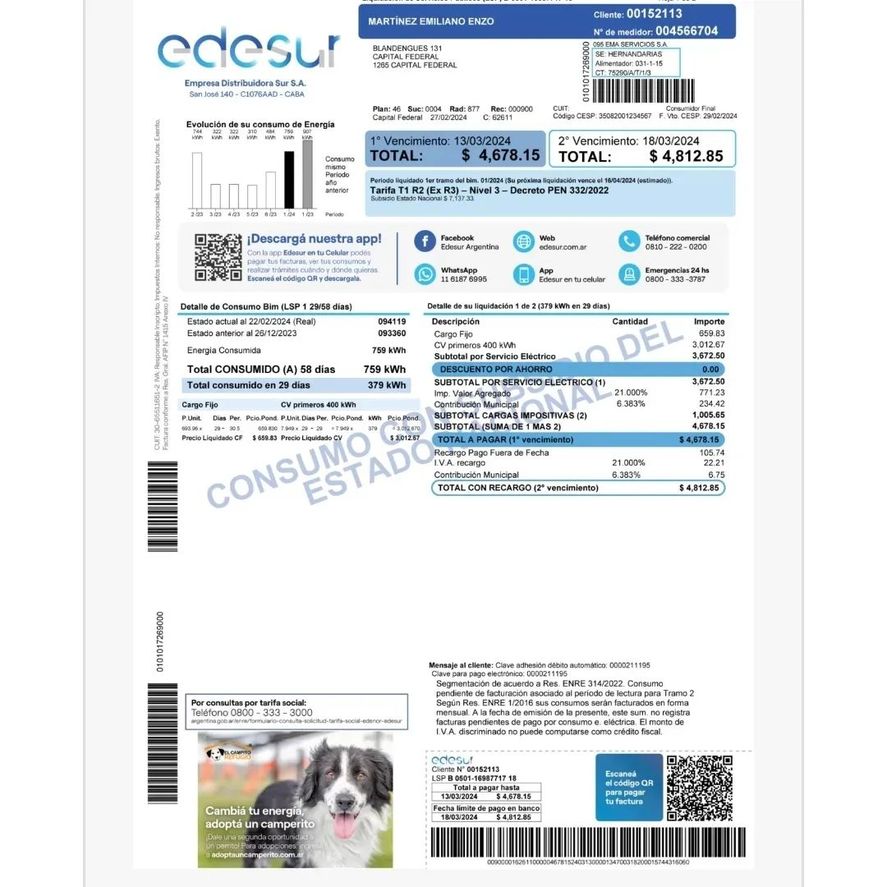 Una empresa de servicios comenzará a incorporar la imagen de perros rescatados en sus facturas mensuales para alentar a la adopción responsable.