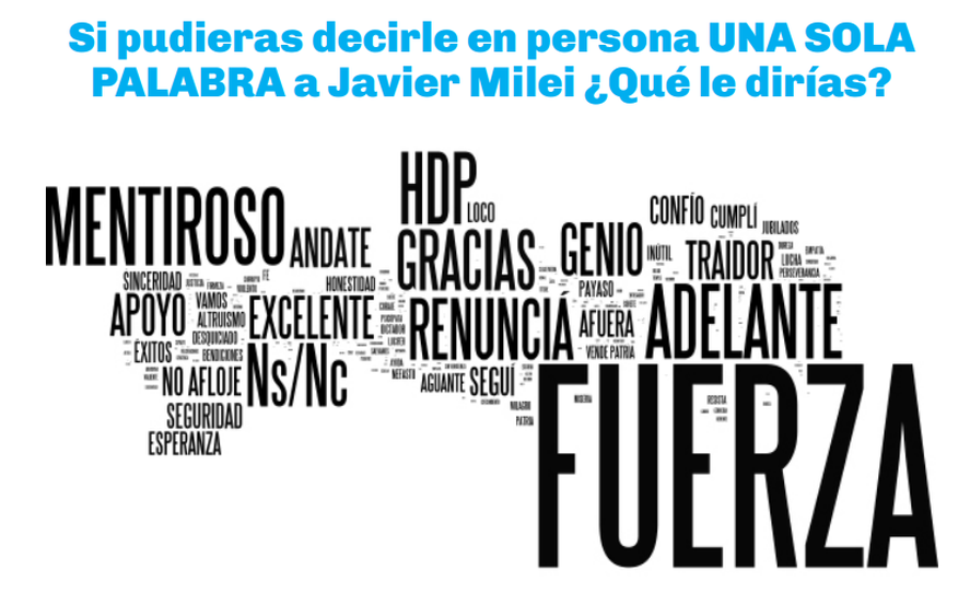 ¿Qué le dirías a Javier Milei? Los resultados de la encuesta ¿Qué le dirías a Javier Milei? Los resultados de la encuesta