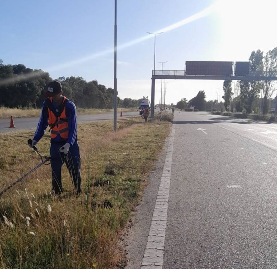 Intendentes bonaerenses reaccionan ante los pastos altos en las rutas y el  
