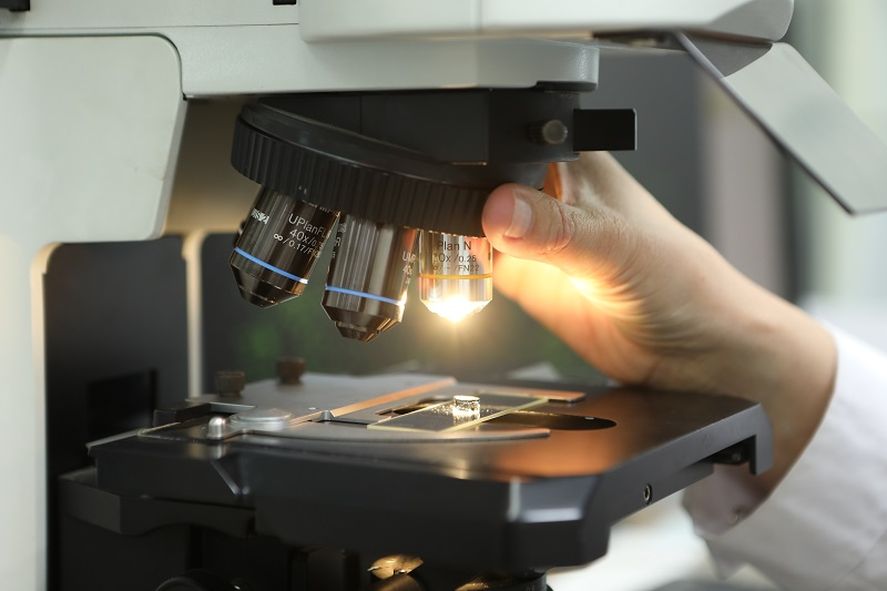 Investigadoras de la Unqui utilizan insectos para resolver crímenes y muertes dudosas Investigadoras de la Unqui utilizan insectos para resolver crímenes y muertes dudosas