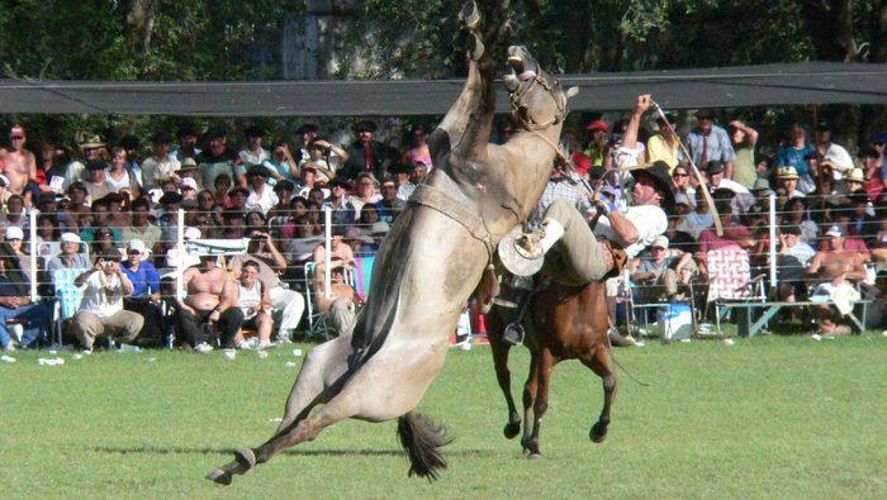 Del 7 al 11 de febrero se celebrará la Fiesta de la Jineteada y Folclore en la ciudad de Pigüé. Del 7 al 11 de febrero se celebrará la Fiesta de la Jineteada y Folclore en la ciudad de Pigüé.