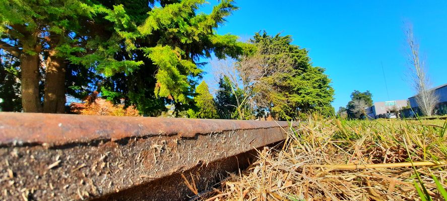 La ciudad de La Plata cuenta con una asombrosa historia de ovnis en Parque San Martín, en la famosa 