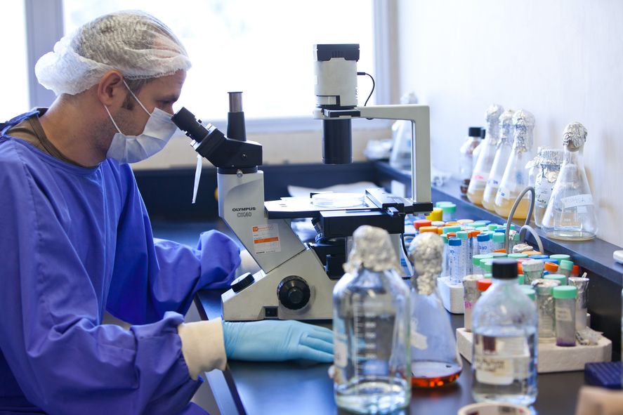 La UNLP recibirá 90 millones de pesos para resolver problemáticas que afectan a la Provincia La UNLP recibirá 90 millones de pesos para resolver problemáticas que afectan a la Provincia