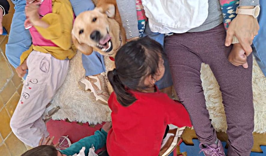 Los canes del SPB pasaron una hora con los pacientes Los canes del SPB pasaron una hora con los pacientes