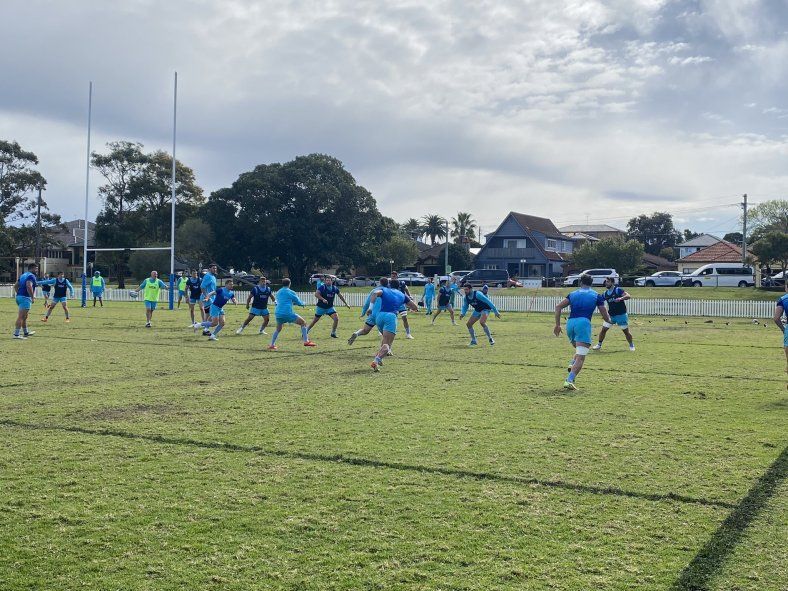 Los Pumas, con todo listo para enfrentar a los All Blacks por el Rugby Championship