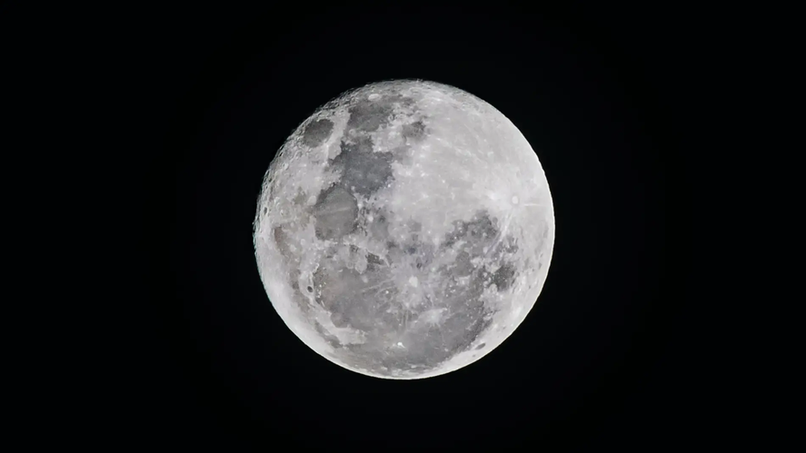 El próximo lunes 25 de marzo se llevará adelante la "Luna de Gusano". El próximo lunes 25 de marzo se llevará adelante la "Luna de Gusano".