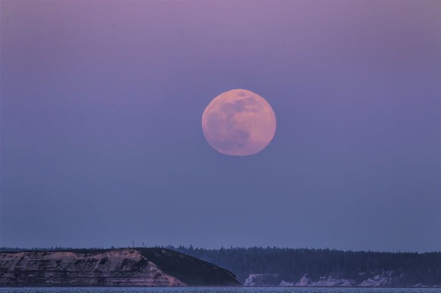 Cuenta regresiva para que finalice abril y lo hará con uno de los fenómenos astronómicos más espectaculares de este año: la Luna Rosa. Cuenta regresiva para que finalice abril y lo hará con uno de los fenómenos astronómicos más espectaculares de este año: la Luna Rosa.