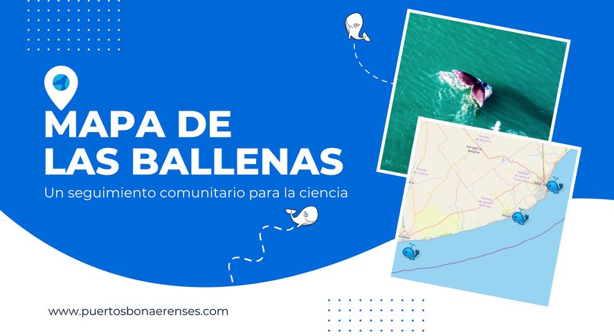 Puertos Bonaerenses lanzó un mapa interactivo para ver, añadir marcadores y compartir en tiempo real la ubicación de las ballenas. Puertos Bonaerenses lanzó un mapa interactivo para ver, añadir marcadores y compartir en tiempo real la ubicación de las ballenas.