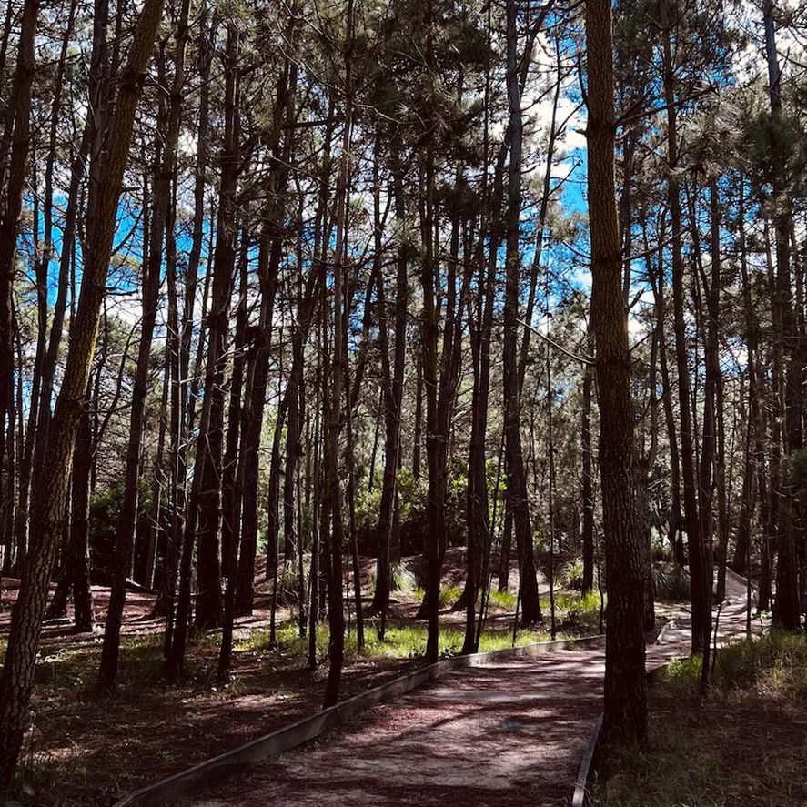 Si te gusta recorrer la provincia de Buenos Aires, te contamos todo lo que podés hacer en Mar de las Pampas.