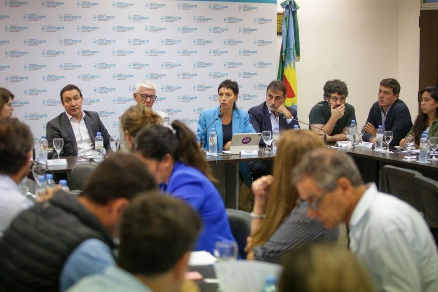 Mayra Mendoza (Quilmes) y Andrés Watson (Florencio Varela) defendieron la creación del comité de cuenca en la Legislatura Bonaerense.