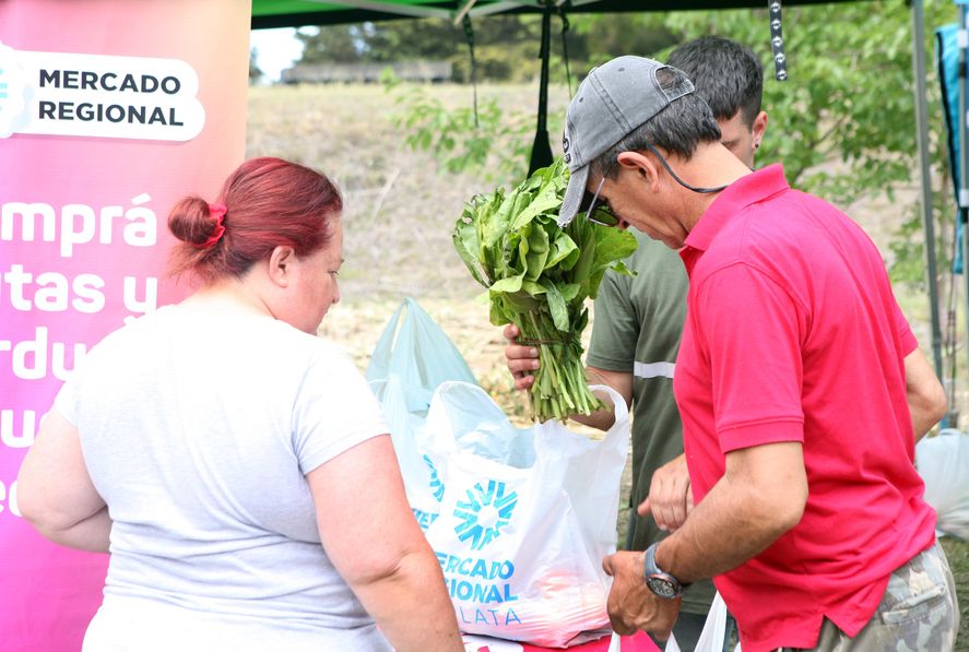 No habrá verduras frescas en el Mercado Regional: productores reclaman en Plaza Moreno