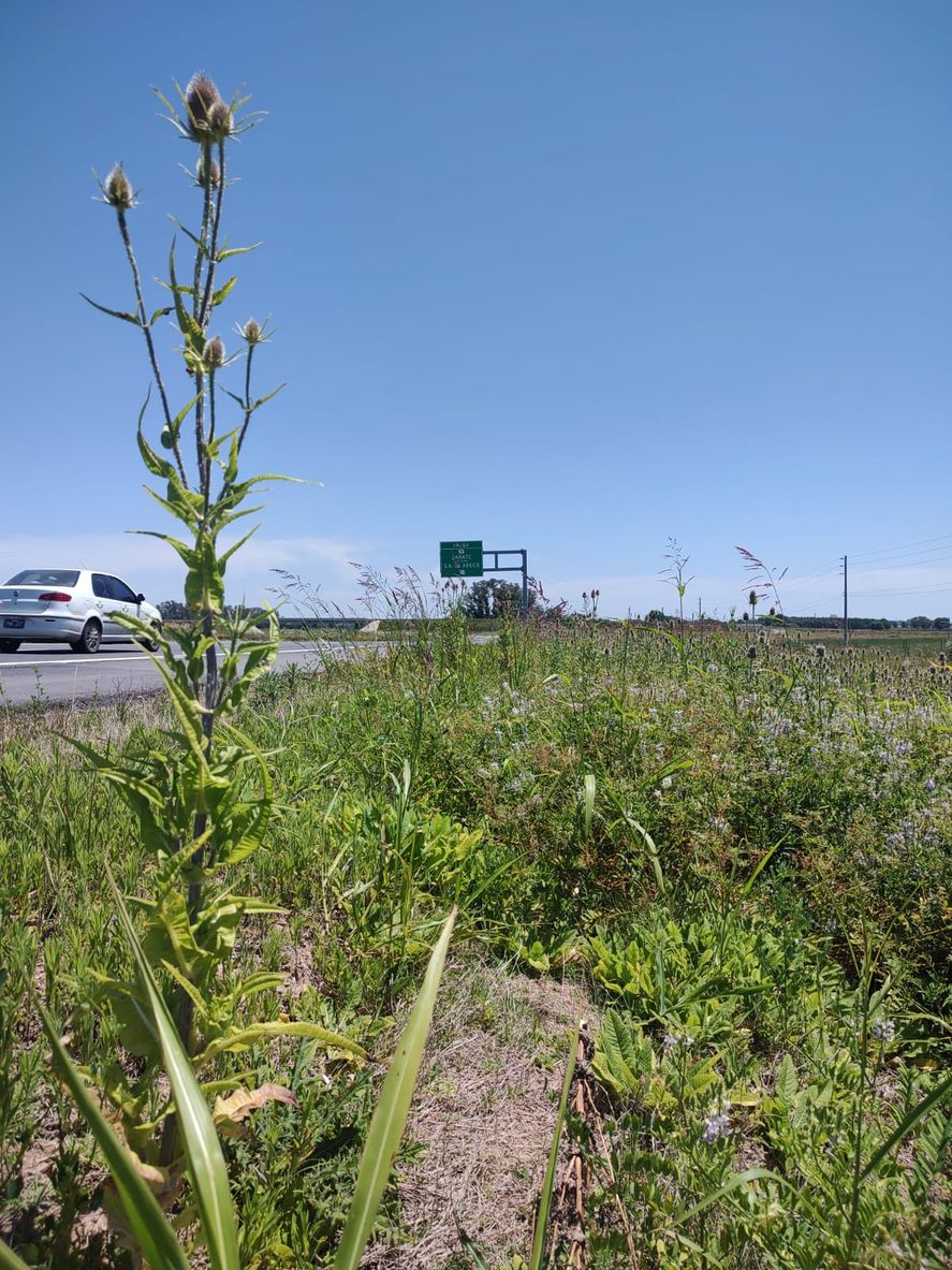 El mal estado de las rutas puso en pie de guerra a intendentes, transportistas y cámaras empresarias.