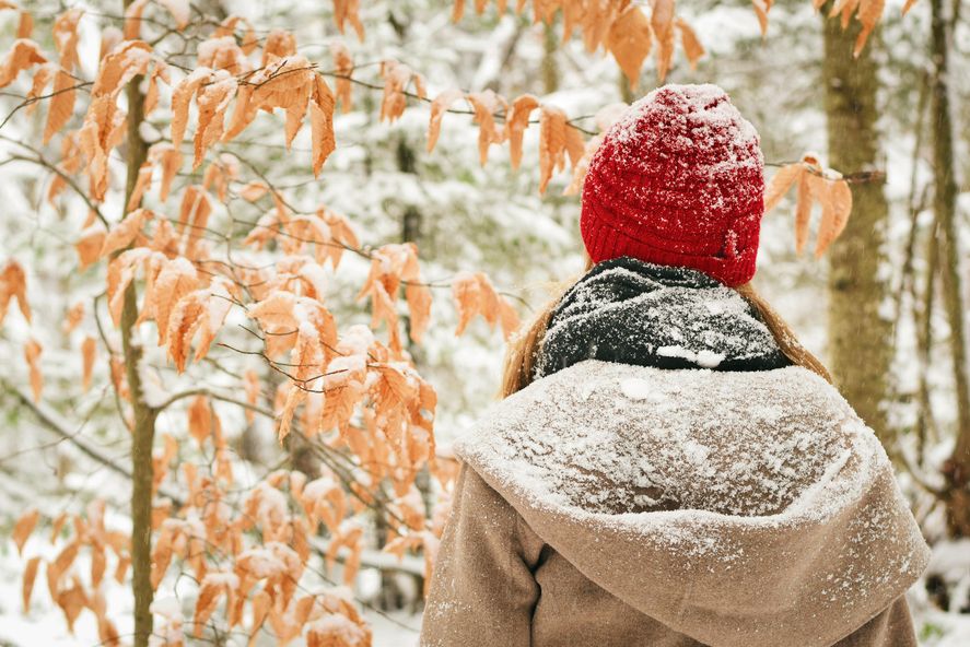 El SMN anunció la caída de nieve para las ciudades de Mar del Plata, Miramar y Necochea El SMN anunció la caída de nieve para las ciudades de Mar del Plata, Miramar y Necochea