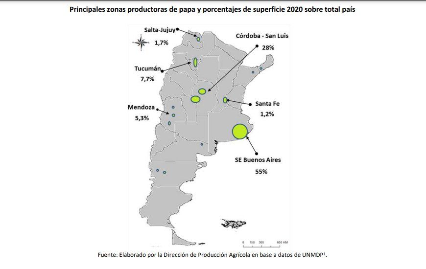 El sudeste bonaerense concentra más de la mitad de todo el cultivo de papa del país.