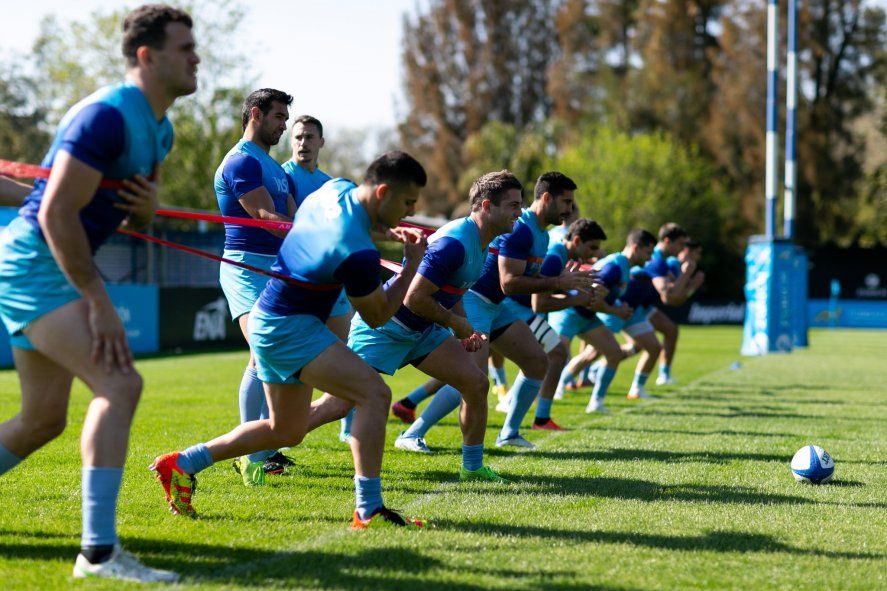 Los Pumas, con todo definido para recibir a los Springbooks