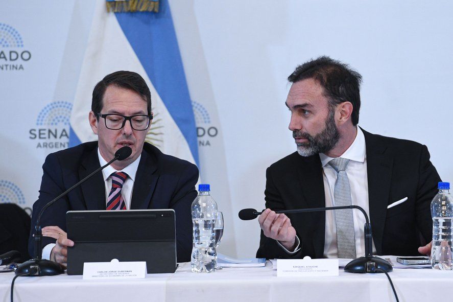 Ley Bases: los senadores retoman la discusión en el plenario de comisiones con 46 expositores.