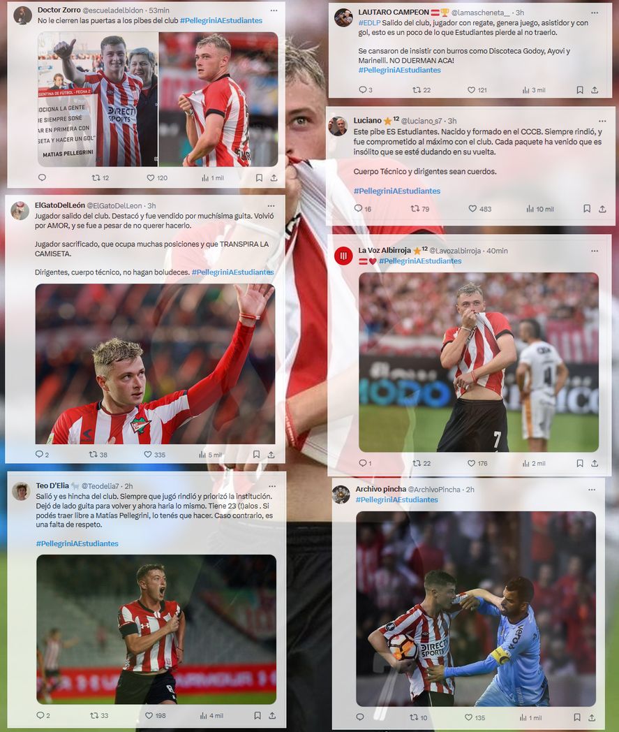 Algunos de los tweets de hinchas de Estudiantes pidiendo por Matías Pellegrini. Algunos de los tweets de hinchas de Estudiantes pidiendo por Matías Pellegrini.