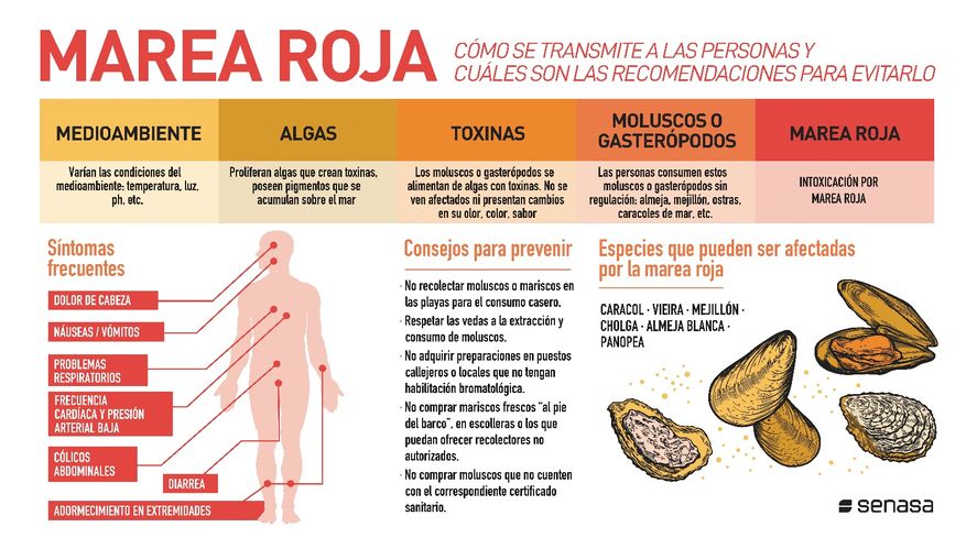 Recomendaciones del SENASA para el consumo de moluscos.