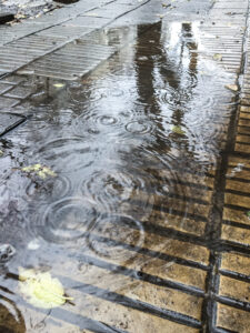 Clima en la provincia de Buenos Aires hoy, martes 2 de septiembre: nubosidad variable y fresco con algunas lluvias leves