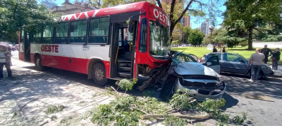 La chofer del micro pasó en rojo de acuerdo al video municipal