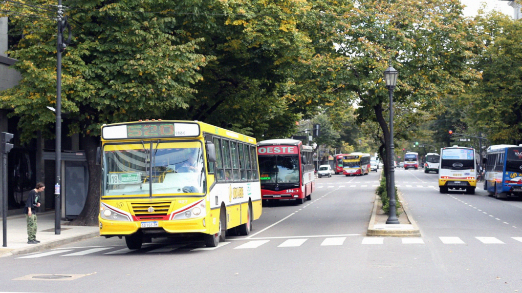 Colectivos de La Plata, línea 520, línea oeste y línea 202