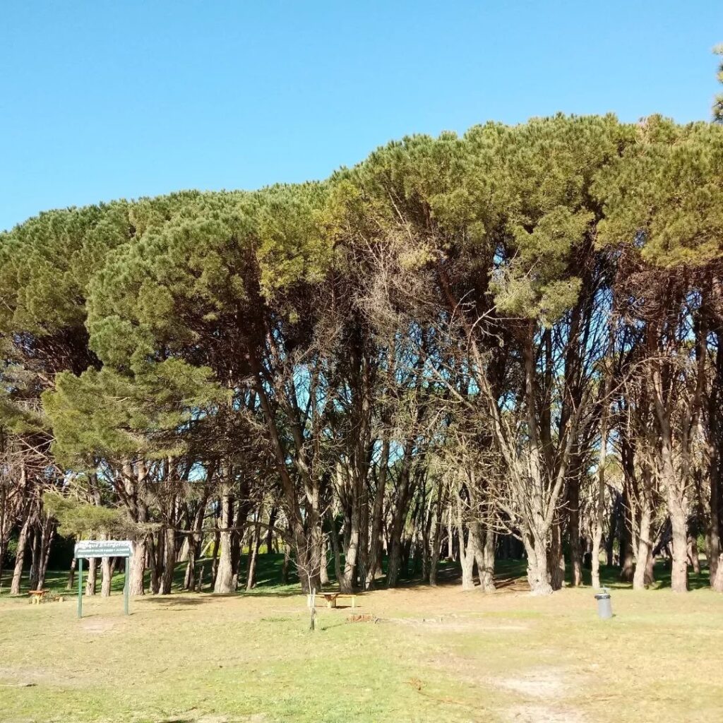 Cartel de ingreso al Bosque Energético de Miramar con árboles altos y cielo despejado.
