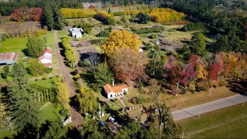 Vista aérea de Cazón, el pueblo del millón de árboles en la Provincia de Buenos Aires.