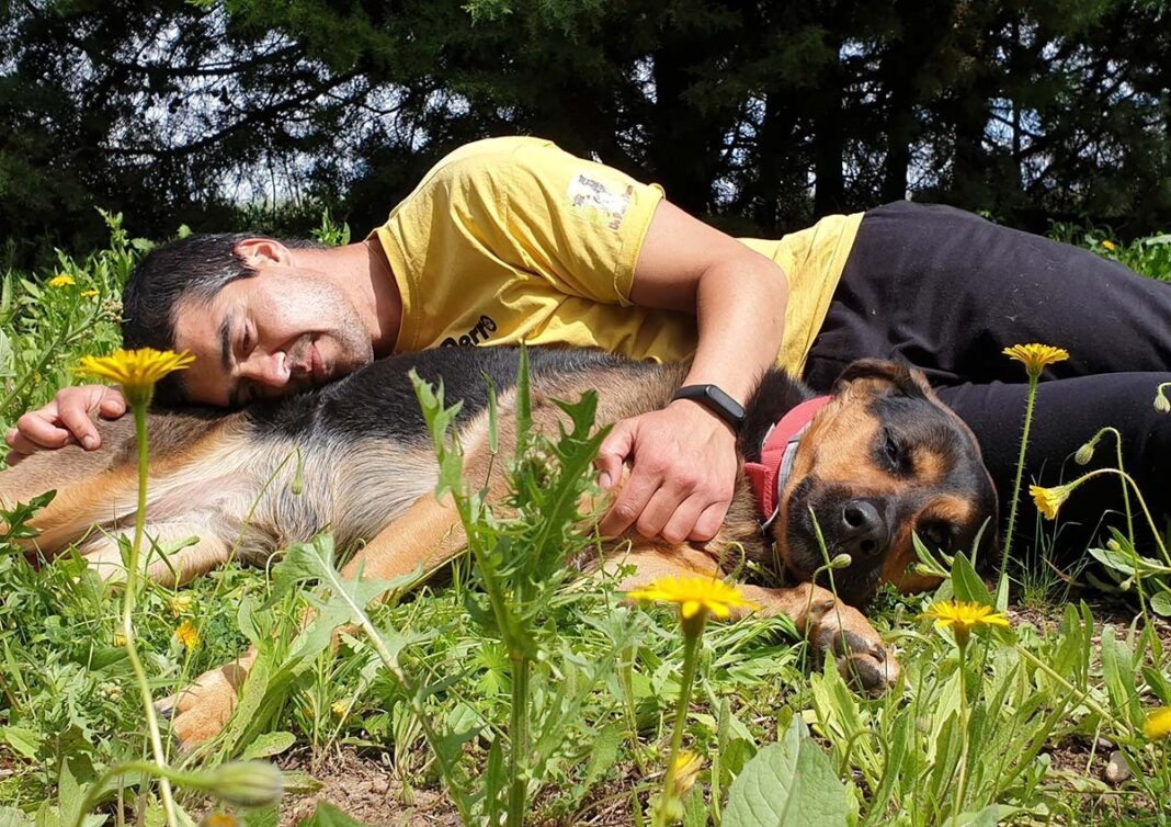 Hombre acostado junto a su perro en el pasto celebrando el vínculo de amistad.