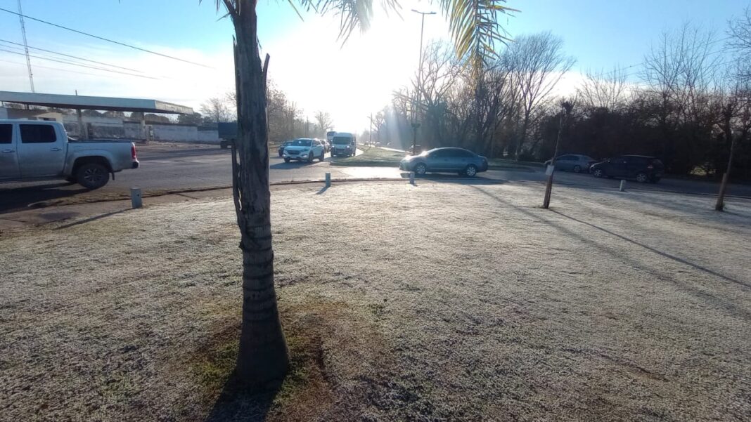 Césped cubierto de escarcha por las heladas matinales en La Plata, con cielo despejado y vehículos circulando.