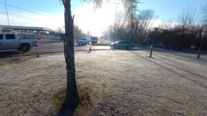 Clima en La Plata hoy, viernes 5 de septiembre: mañana gélida, con frío intenso y tarde con sol