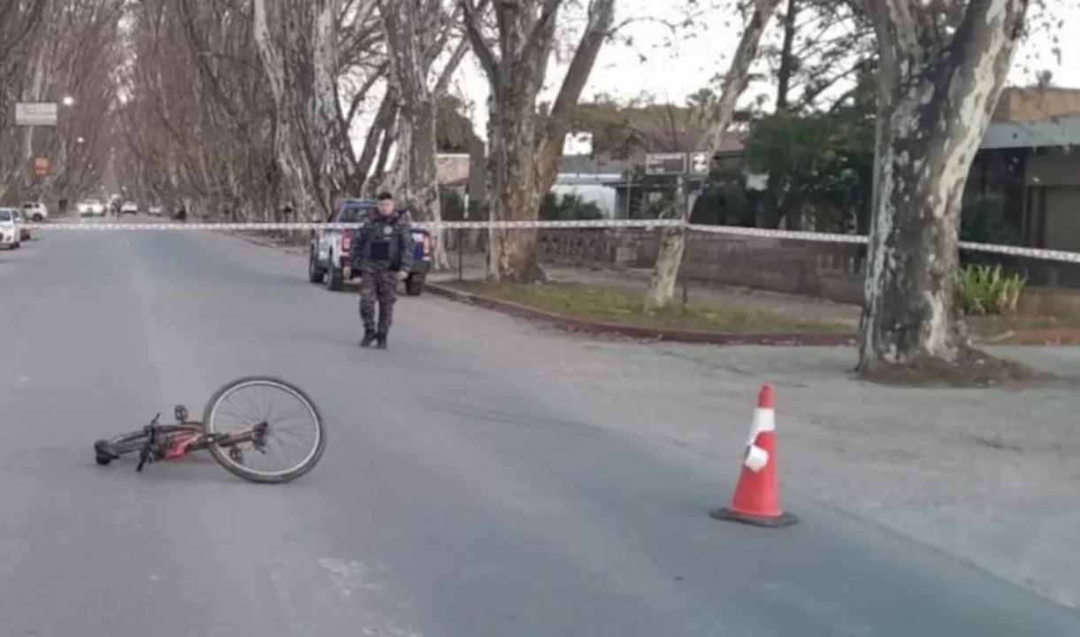 Un adolescente que estaba aprendiendo a manejar atropelló y mató a un ...