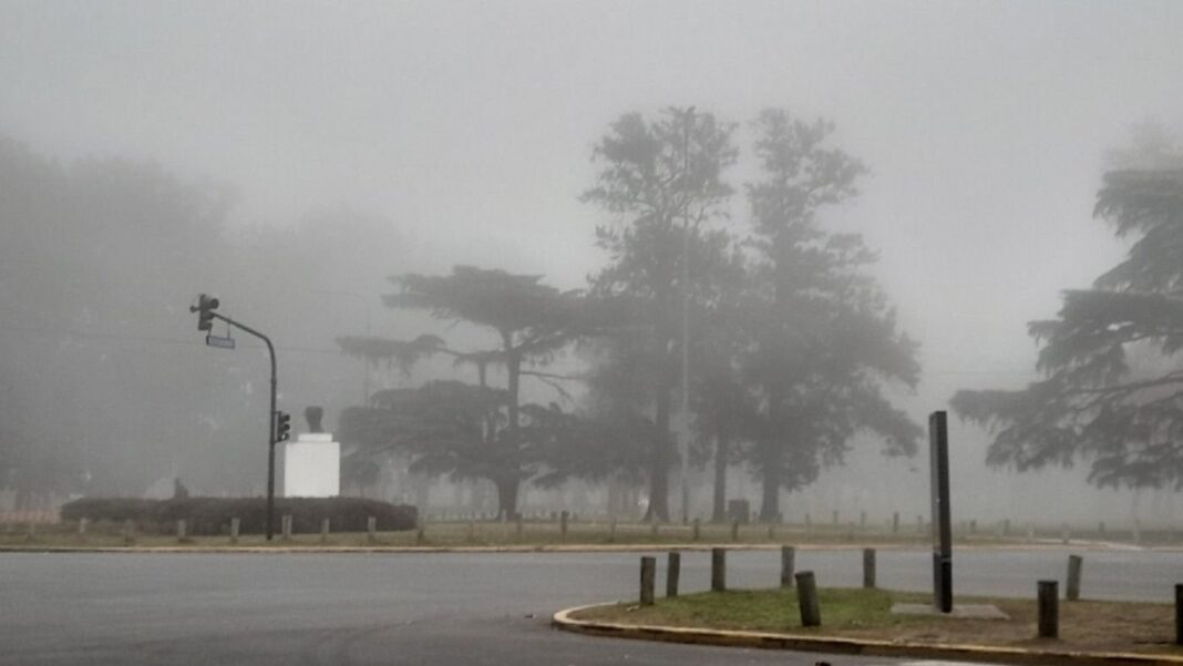 Niebla densa en la provincia de Buenos Aires durante alerta violeta por visibilidad reducida