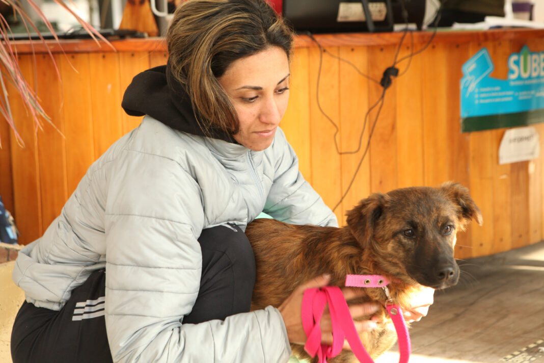 Mujer junto a su perro con collar y correa en una jornada de vacunación y castración gratuita en La Plata.