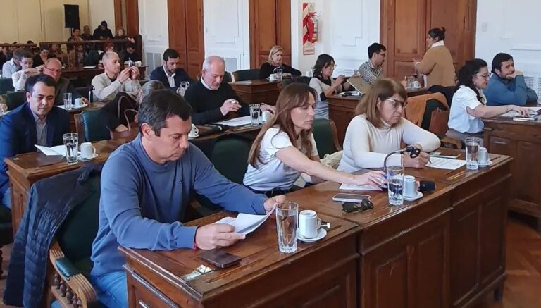 Los concejales de Javier Martínez bloquearon la Emergencia en Discapacidad en Pergamino