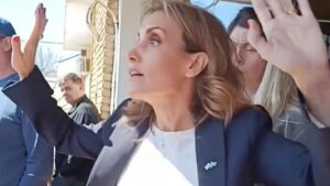 Senadora responsabiliza a la prensa por la seguridad de Javier y Karina Milei