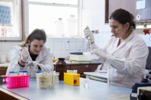 El omega 3: un aliado clave para la salud cardiovascular en la menopausia