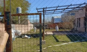Horror y misterio en Tristán Suárez por el crimen de una mujer: investigan a la hija y su novio