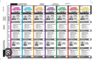 Elecciones: en qué lugar de la Boleta Única en Papel quedó cada fuerza política para octubre