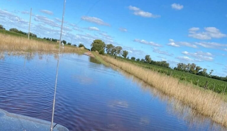 Inundaciones: Un proyecto pide obras urgentes entre Provincia y Nación para el centro-oeste bonaerense
