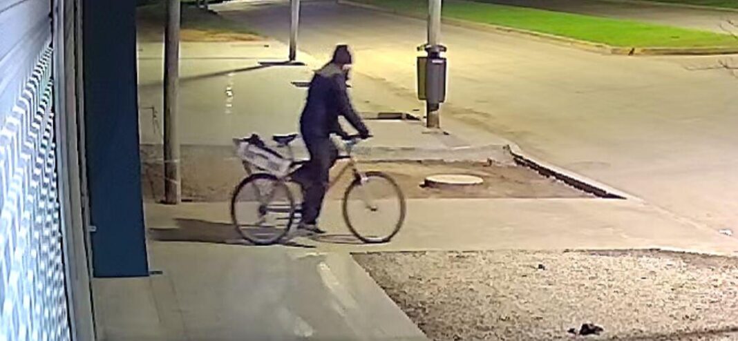 El ladrón, en el lugar del hecho