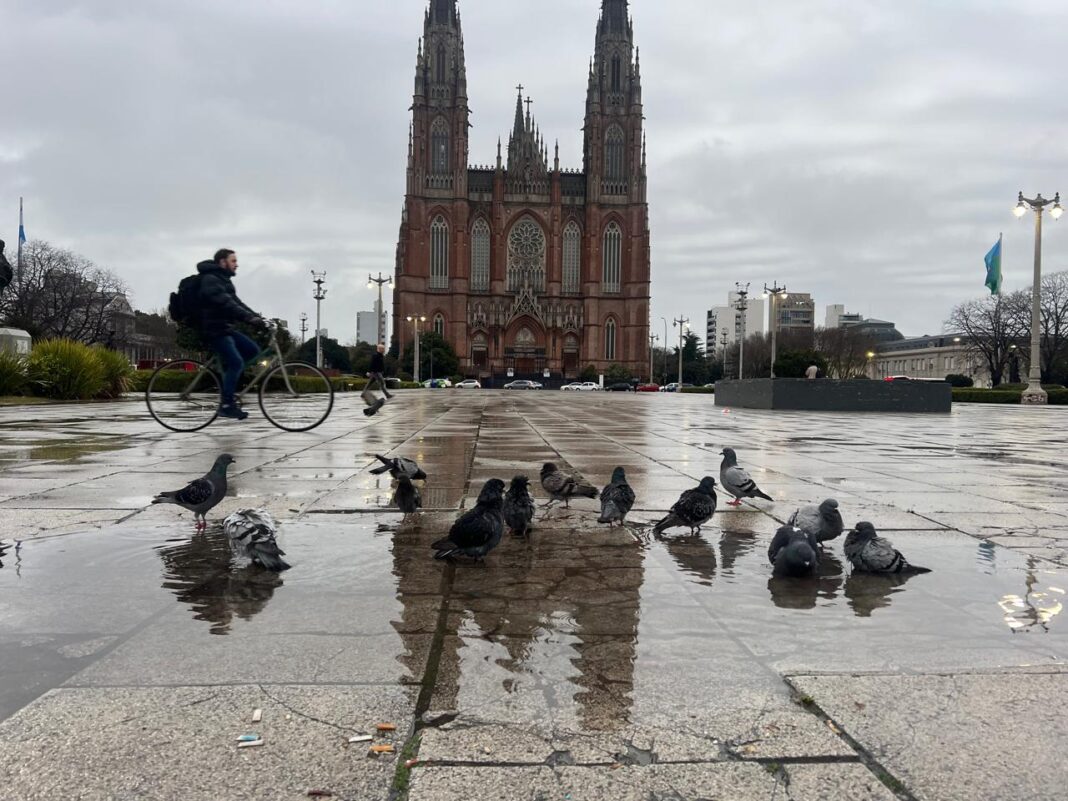 Día nublado y con lloviznas en La Plata, vista de la Catedral desde Plaza Moreno con charcos y palomas